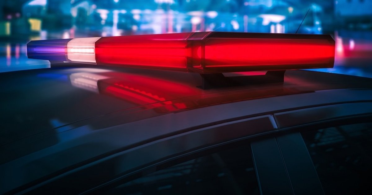 Upon completion of this course, the participant will know under what circumstances different forms of force may be used by the police, and will have successfully completed several practical use of force training scenarios. Police car image